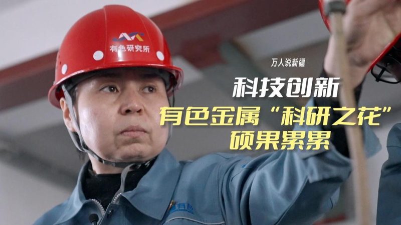 OA系统效率提升：参数配置的关键要素**